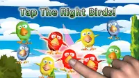 Catch The Birds - Fun Tap Game Screen Shot 1