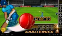 Cricket World Cup Challenges Screen Shot 12