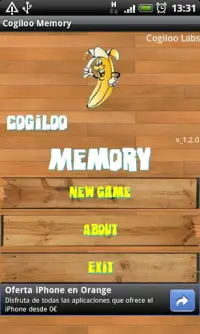 Cogiloo Memory Screen Shot 2
