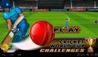 Cricket World Cup Challenges Screen Shot 5