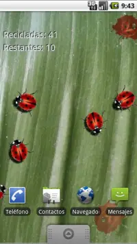 Real Ladybug LWP Screen Shot 3