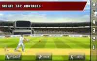 Tap Cricket 2013 Screen Shot 7
