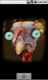 Turkey for Thanksgiving FREE Screen Shot 1