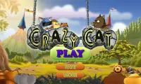 Crazy Cat-Fighting Screen Shot 4