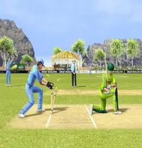 Cricket Games for Mobile Screen Shot 2