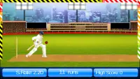 Cricket World Cup Game IndoPak Screen Shot 2