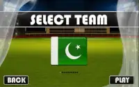 Cricket Worldcup Power Batting Screen Shot 5