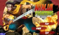 Ninja Fighting Screen Shot 0