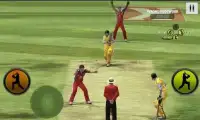 Play Cricket Worldcup 2015 Screen Shot 3