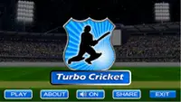 Turbo Cricket Real Screen Shot 1
