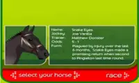 Horse Racing Screen Shot 2