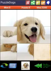Sliding Puzzle Dogs & Puppies Screen Shot 0