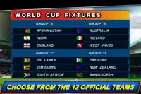 T20 ICC Cricket WorldCup 2012 Screen Shot 0