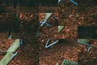 Tile Puzzles · Autumn Screen Shot 2