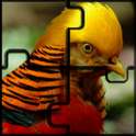 Birds, Lions - Animal Jigsaw