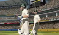 Cricket 2013 - New Game Screen Shot 3