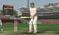 Cricket 2013 - New Game Screen Shot 4