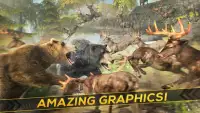 Bear Simulator 2016 Screen Shot 1