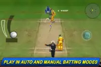 T20 ICC Cricket WorldCup 2012 Screen Shot 3
