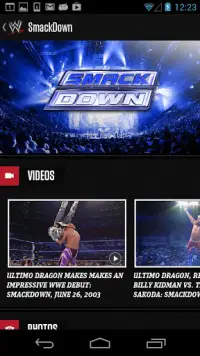 WWE Screen Shot 4