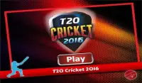 T20 Cricket 2016 Screen Shot 5