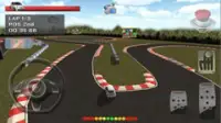 Grand Race Simulator 3D Screen Shot 0