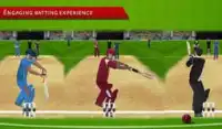 Cricket Challenge UBL Screen Shot 1