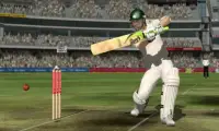 Cricket Real Maniac Screen Shot 0