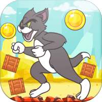 Tom Cat With Coins