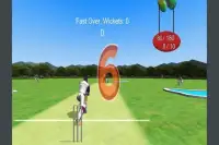 Dilbeys Cricket Lite Screen Shot 1