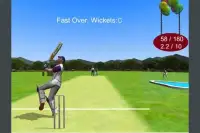 Dilbeys Cricket Lite Screen Shot 0