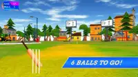 Cricket 6 Balls Screen Shot 2