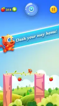 Pet Dash Screen Shot 7