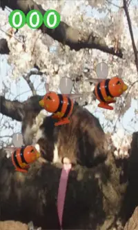 Bee Dance with Sakura Screen Shot 0