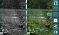 Hidden Difference: Pot O' Gold Screen Shot 1
