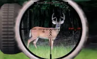 deer jungle hunting Screen Shot 2