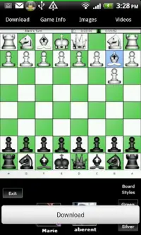 3D Chess game Screen Shot 1