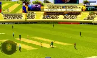 Cricket Ultimate Screen Shot 1