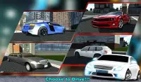 Luxury Sports Car Driver 3D Screen Shot 10