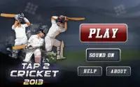 Tap Cricket 2013 Screen Shot 8