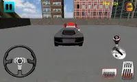 Parking the Car 3D Screen Shot 0