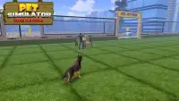 Pet Simulator - Dog Games Screen Shot 3