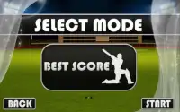 Cricket Worldcup Power Batting Screen Shot 7