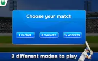 Ultimate Turbo Cricket Screen Shot 2