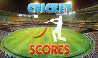 Indo Pak Live Cricket Scores Screen Shot 5
