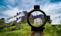 Bear Hunting 3D Game Screen Shot 3