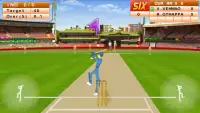 Cricket Cup 2015 Screen Shot 0