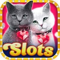 Cute Kittens Free Vegas Casino