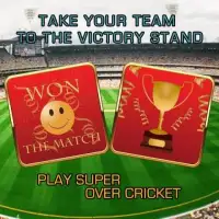 Super Over Cricket Screen Shot 5