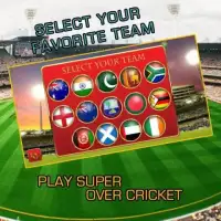 Super Over Cricket Screen Shot 6